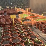 C53BAB70-DF7E-4218-9E68-3C7E96BF6CE6